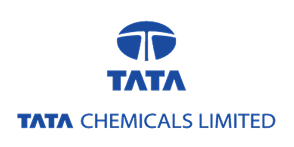 Website image Group 6